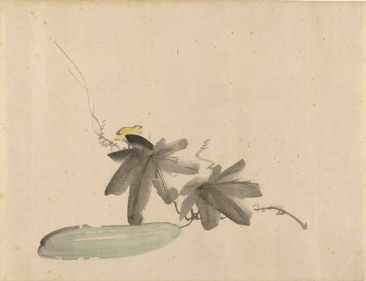 Gurke mit Blättern, ca. 1880 von Édouard Manet