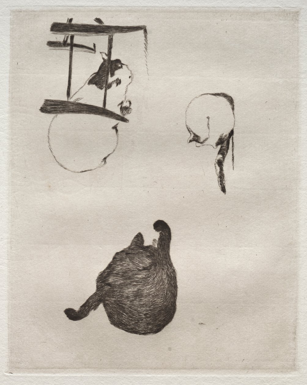 Die Katzen von Édouard Manet
