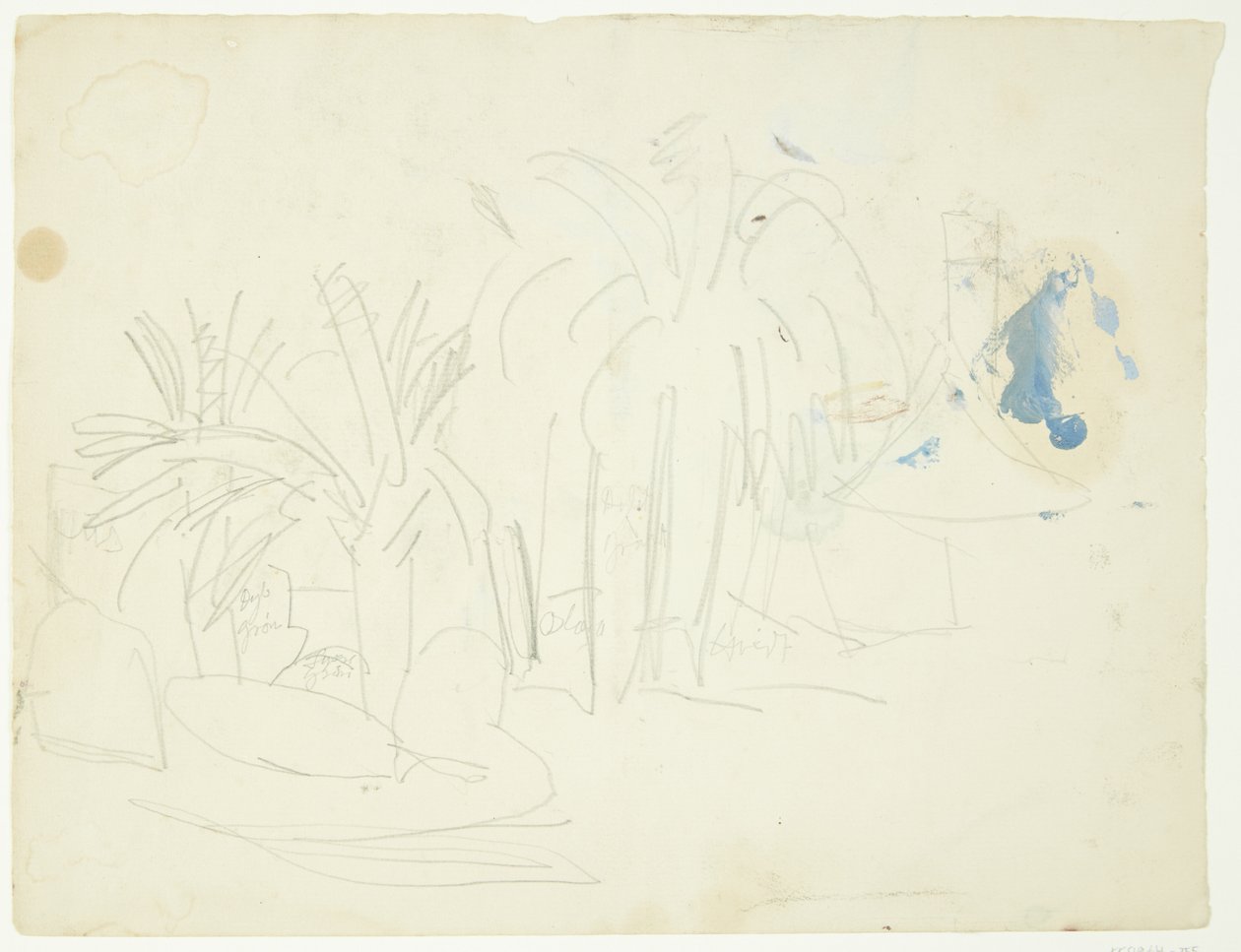 Landschaft mit Palmen, Cannes von Edvard Weie