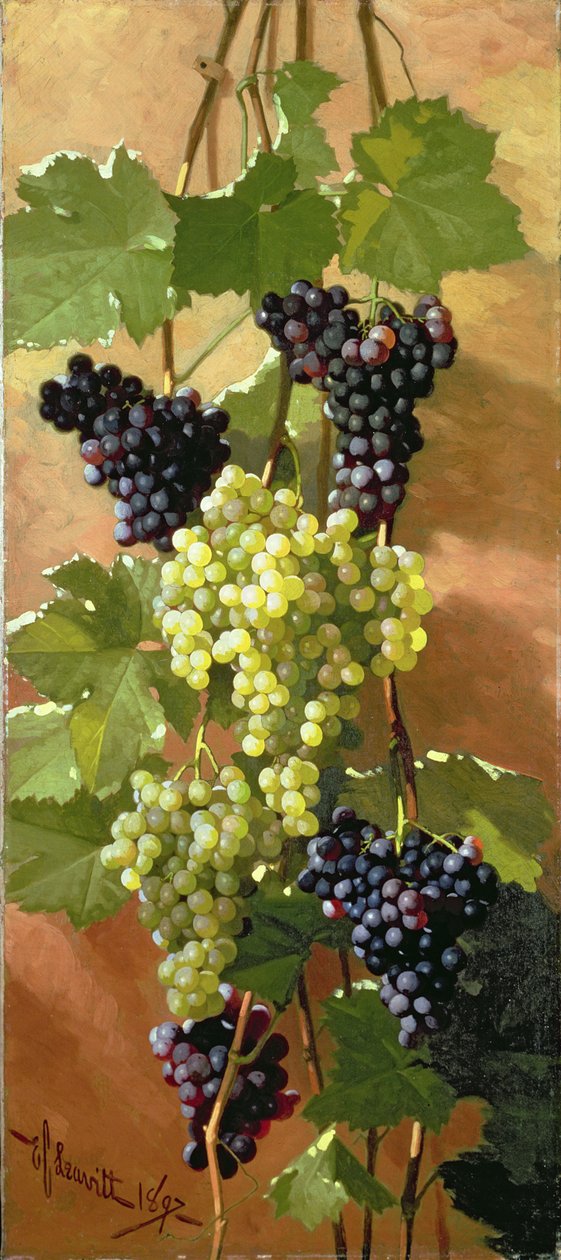 Trauben, 1897 von Edward Chalmers Leavitt