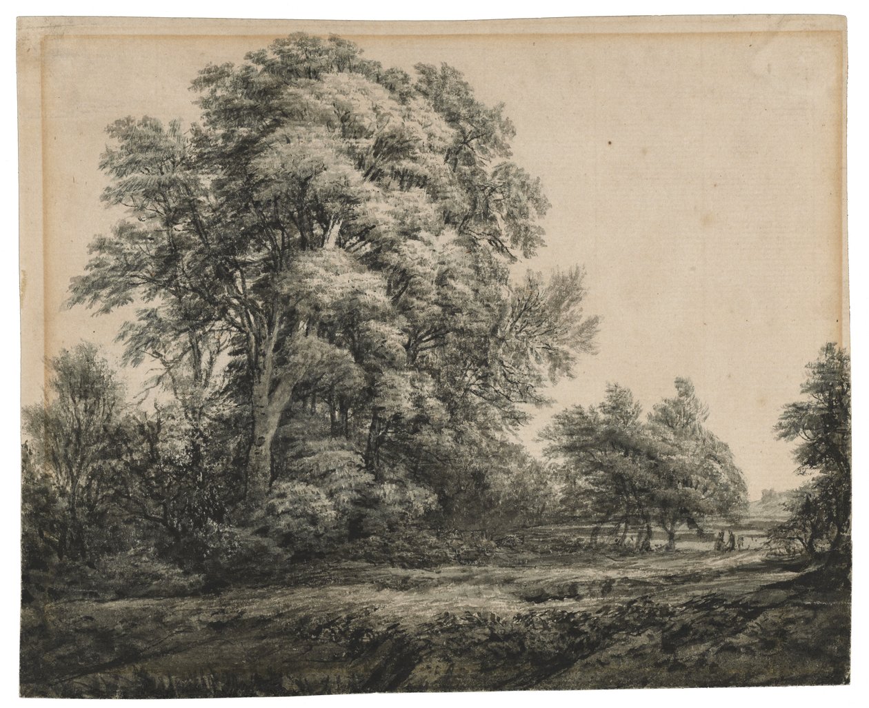 Waldlandschaft, ca. 1838-1848 von Edward Lear