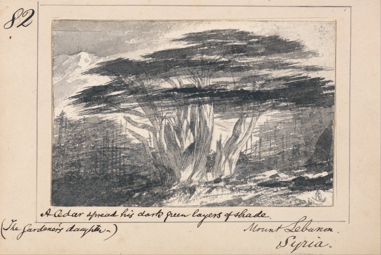 Illustration zu Tennysons Die Tochter des Gärtners - Berg Libanon, Syrien von Edward Lear