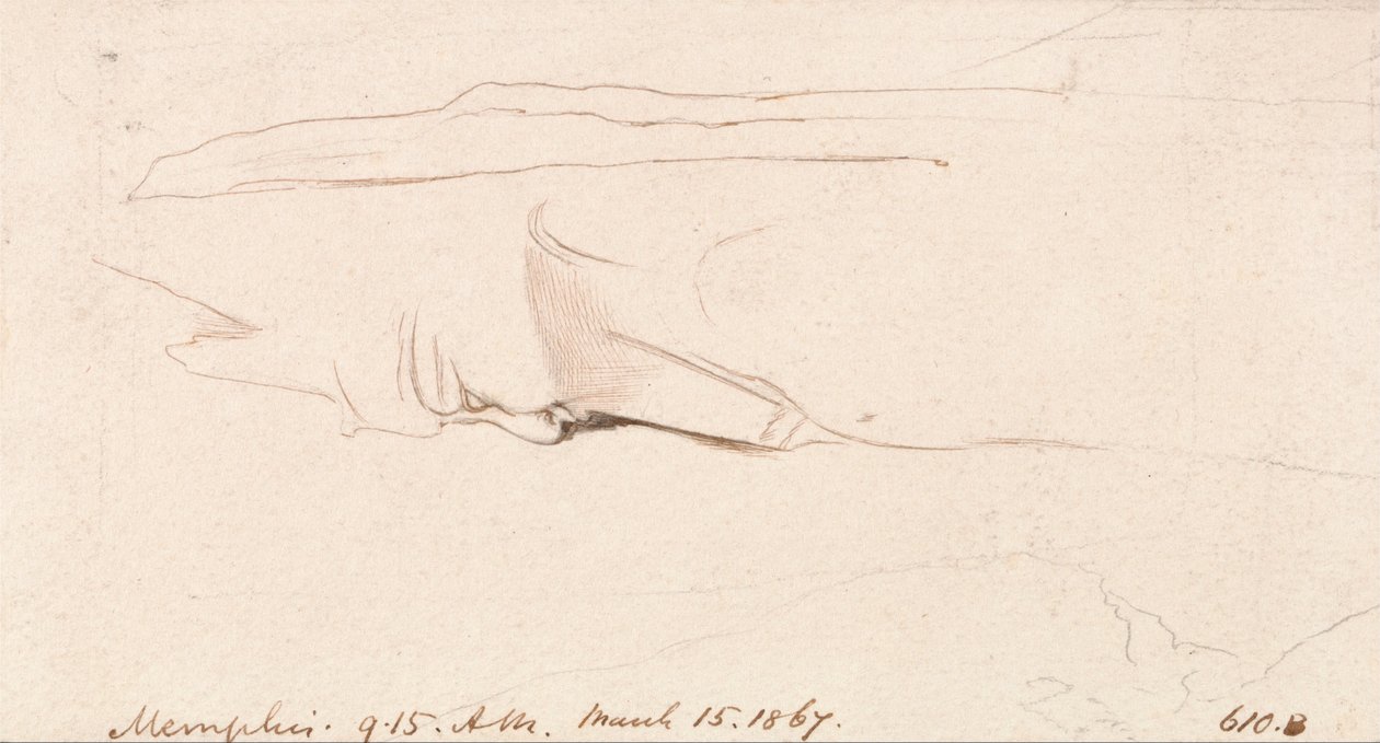 Memphis von Edward Lear