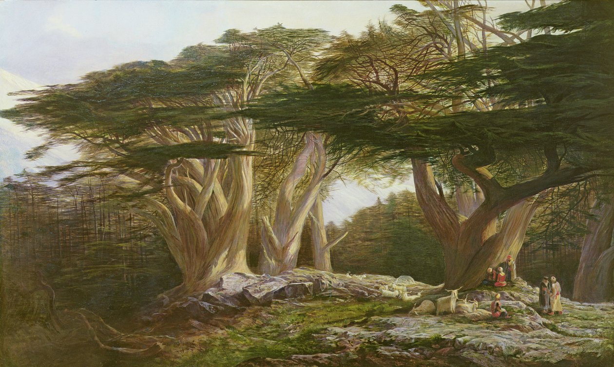 Die Zedern des Libanon, 1861 von Edward Lear