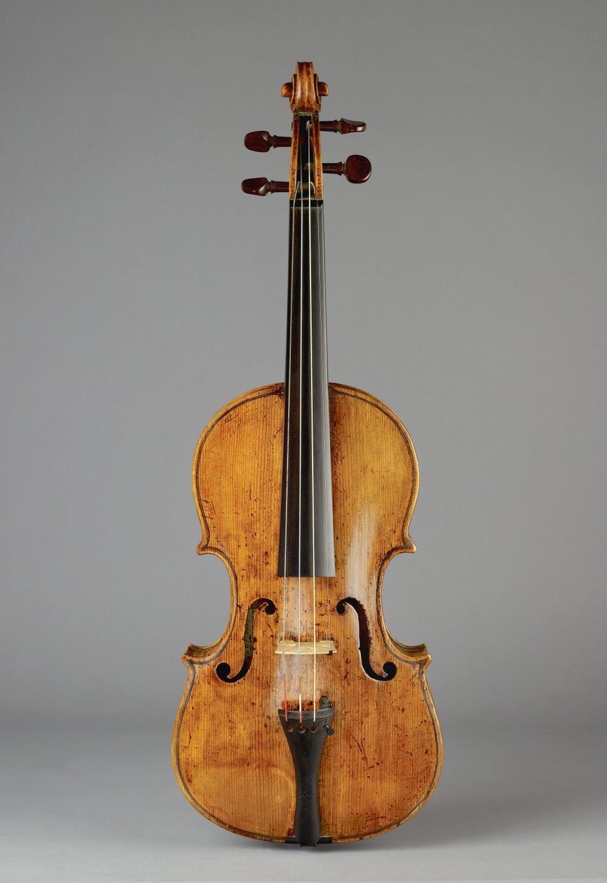 Geige von Edward Pamphilon