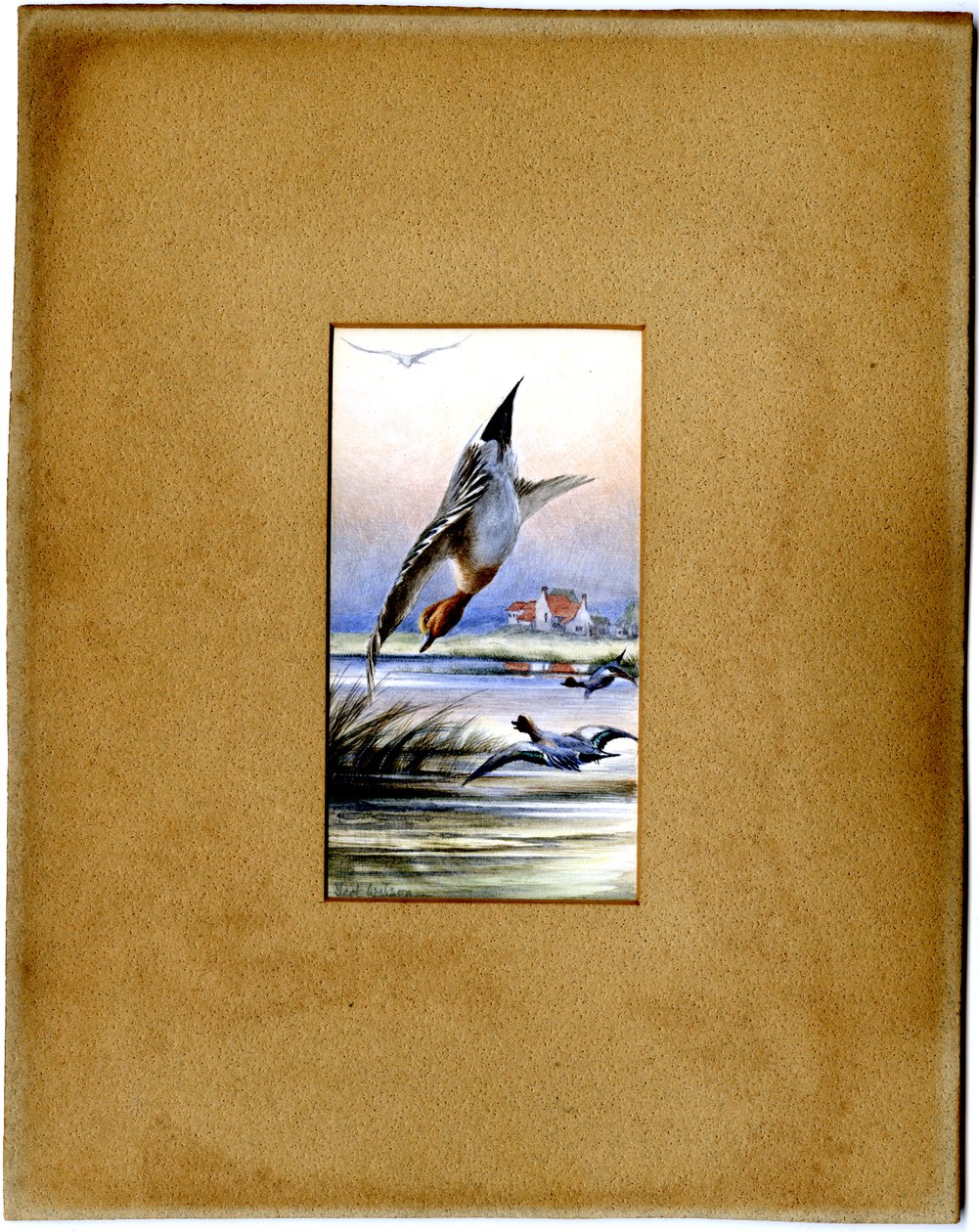 Ohne Titel von Edward Adrian Wilson