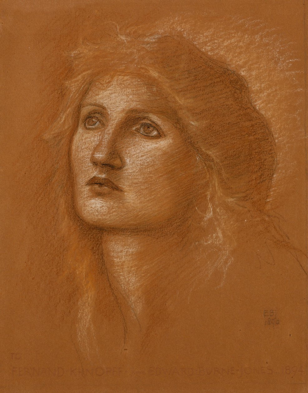 Kopf einer Frau, 1890 von Edward Burne Jones