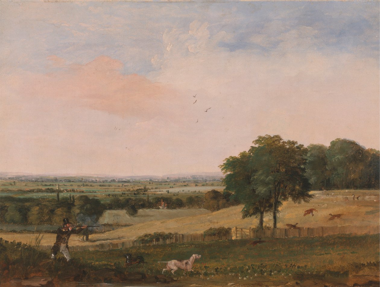 Rebhuhnjagd von Edward Duncan