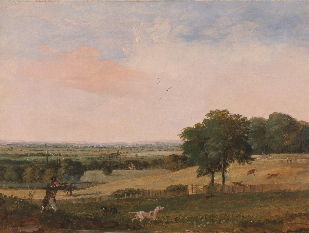 Rebhuhnjagd von Edward Duncan