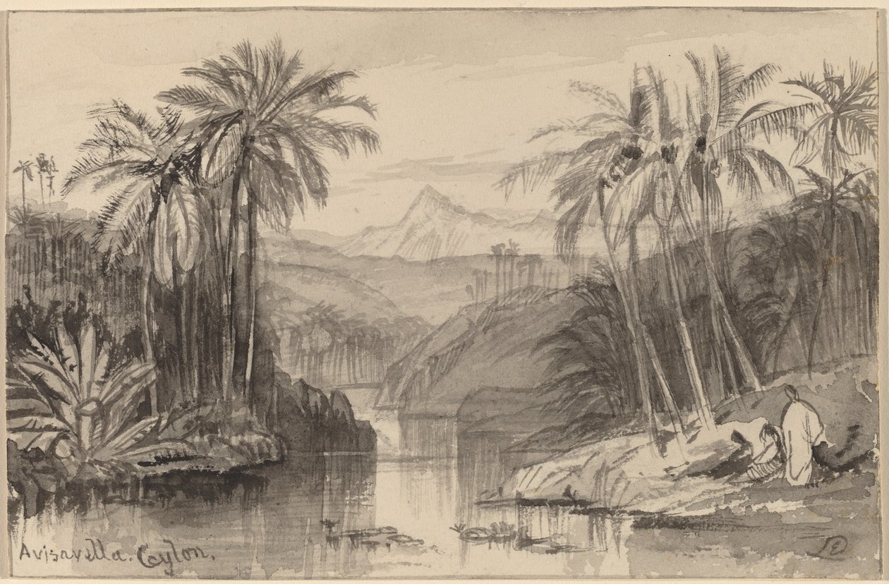 Avisavella, Ceylon von Edward Lear