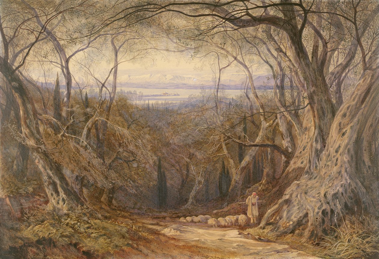 Korfu von Edward Lear