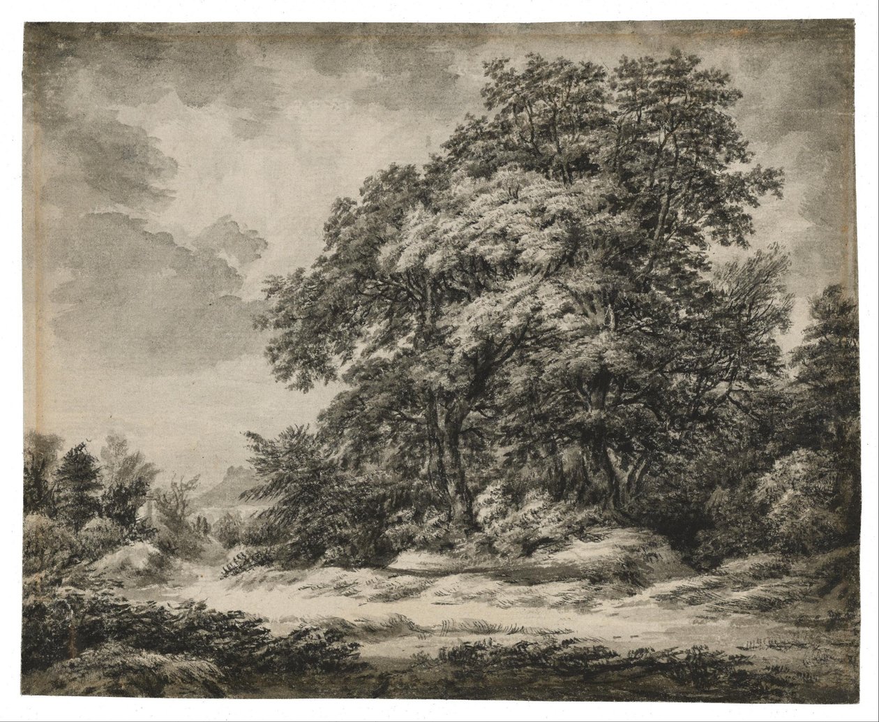 Waldlandschaft von Edward Lear