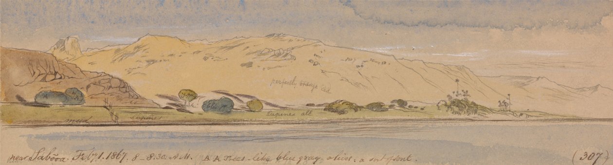 In der Nähe von Sabooa von Edward Lear
