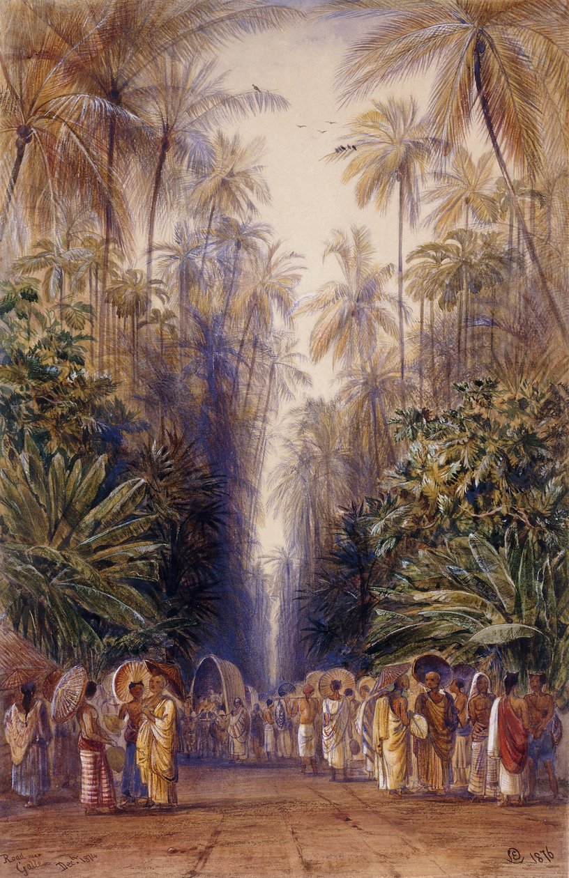 Auf dem Weg nach Galle, Ceylon von Edward Lear