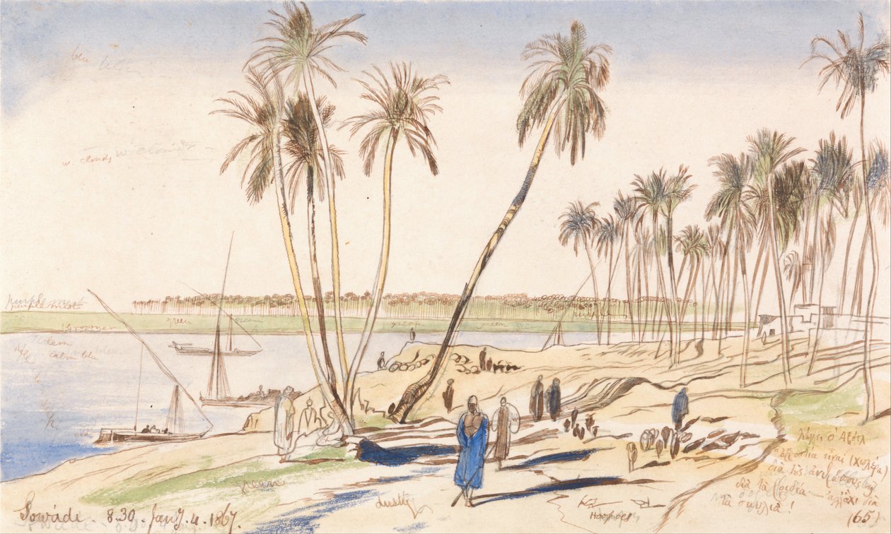 Sowadi, 8:30 Uhr, 4. Januar 1867 von Edward Lear