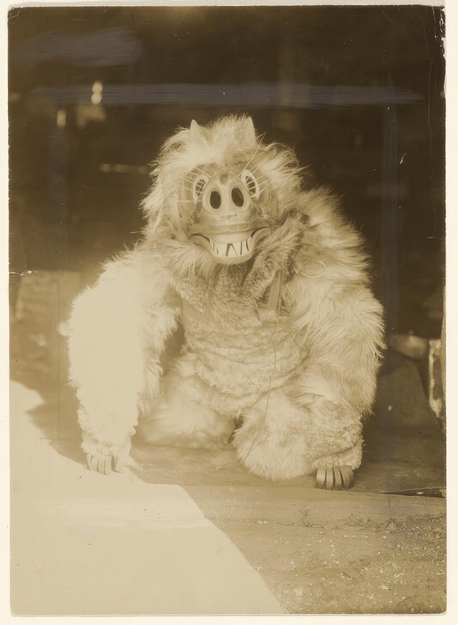 In der Wolfmaske von Edward S. Curtis