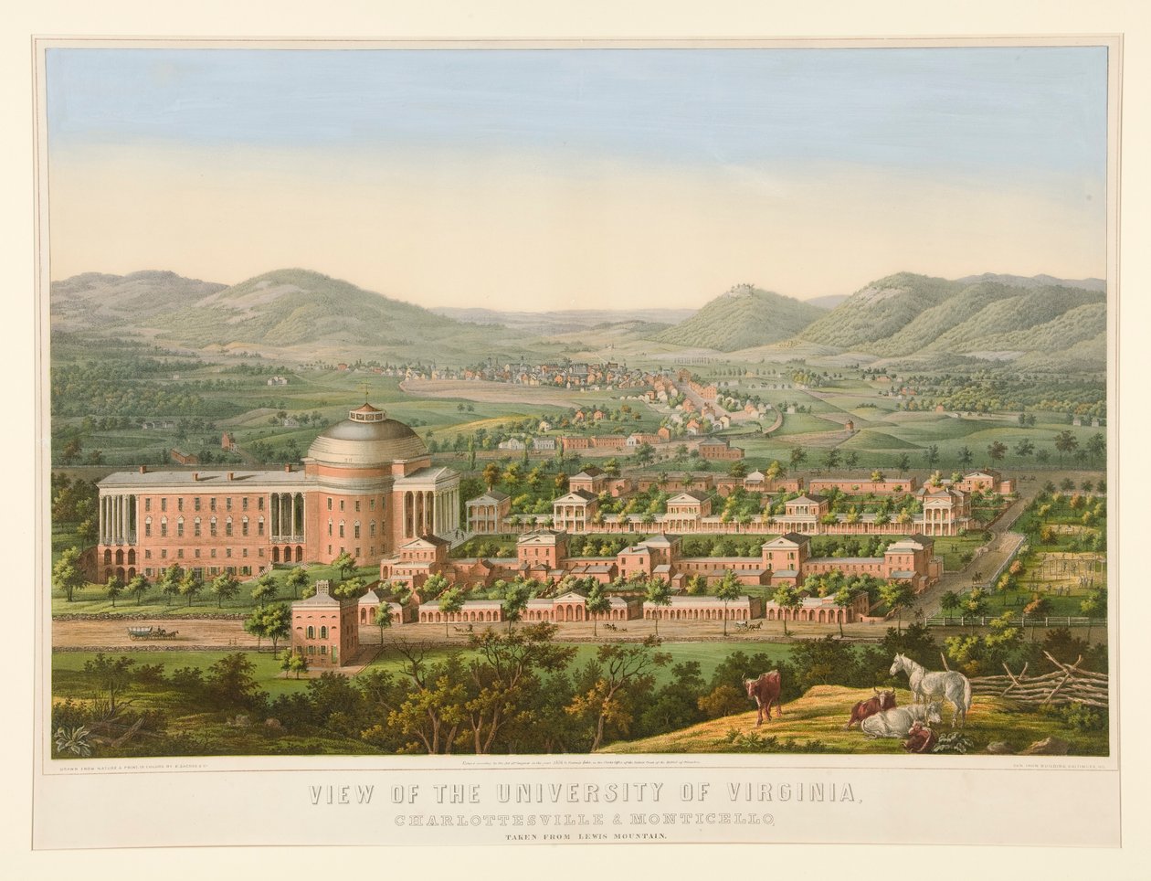 Ansicht der Universität von Virginia von Edward Sachse