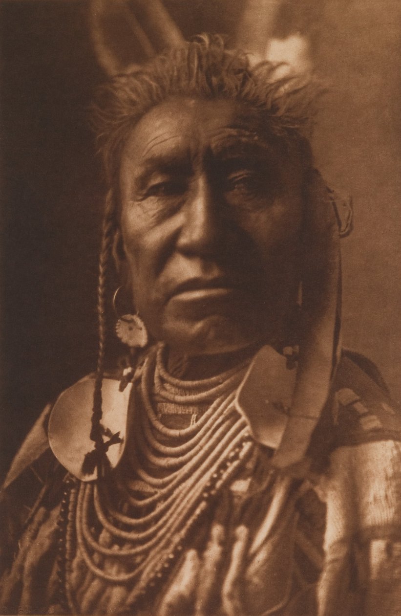 Fischshows - Apsaroke von Edward Sheriff Curtis