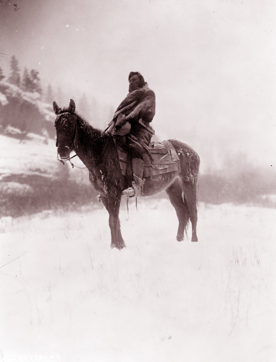 Der Späher im Winter, Apsaroke von Edward Sheriff Curtis
