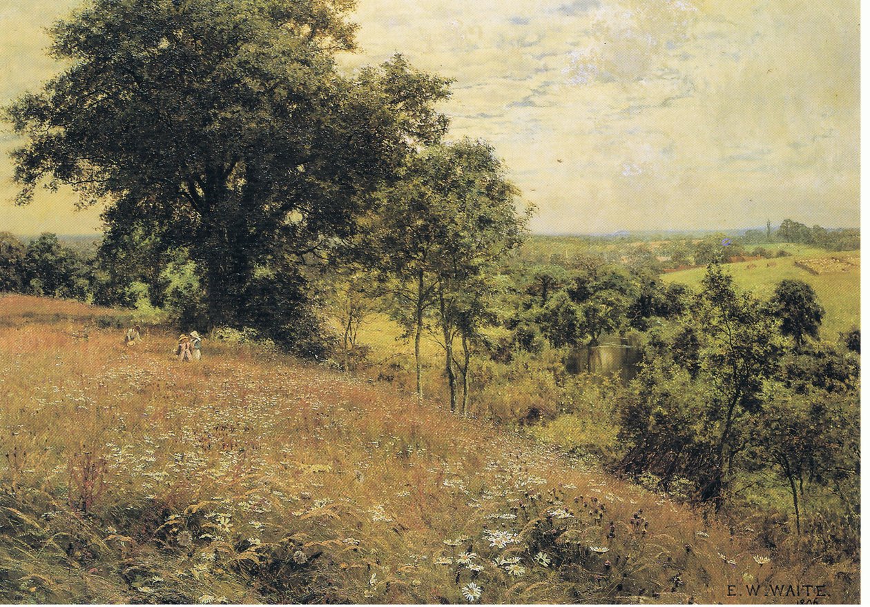 Auf der Wiese von Edward Wilkins Waite