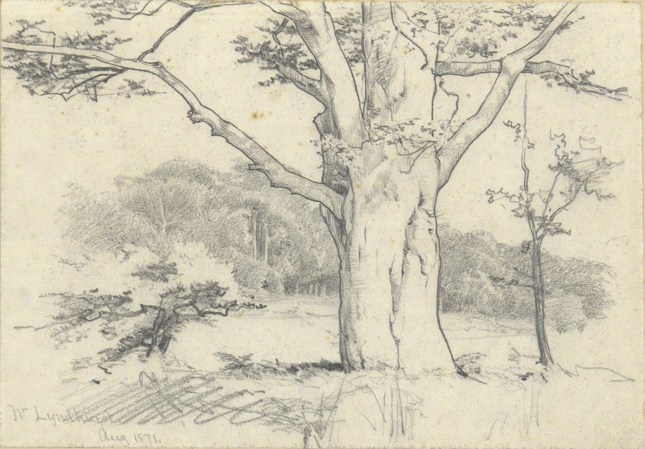 Nr. Lyndhurst, Aug. 1871 von Edwin Austin Abbey