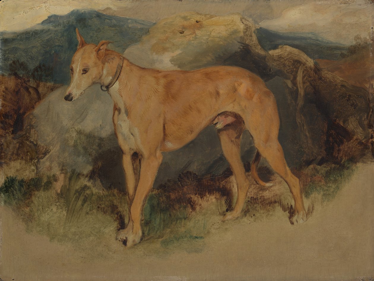 Ein Hirschhund, 1826 von Edwin Landseer