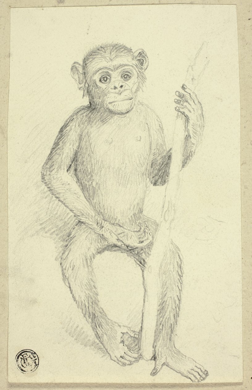 Orang-Utan von Edwin Henry Landseer