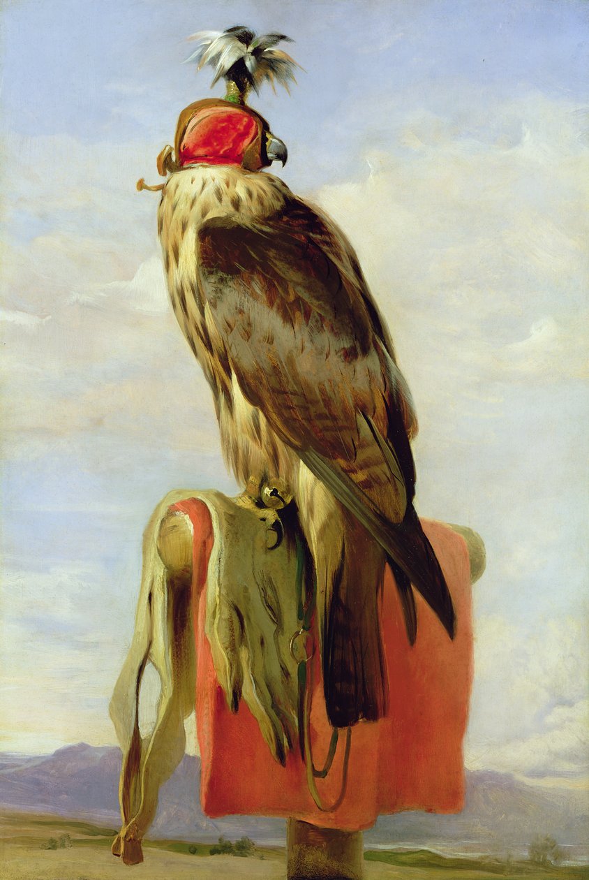 Gehörnter Falke von Edwin Landseer