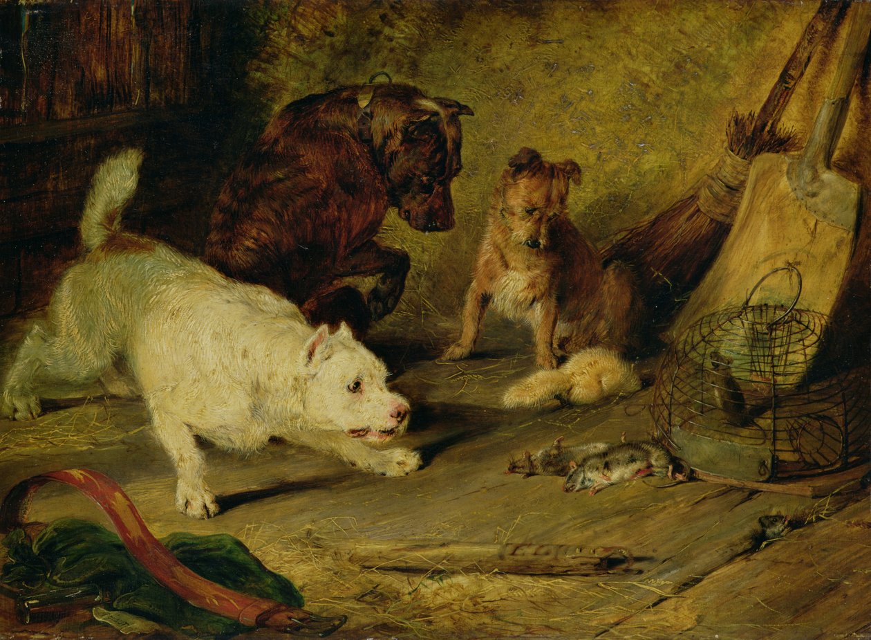 Rattenfänger von Edwin Landseer