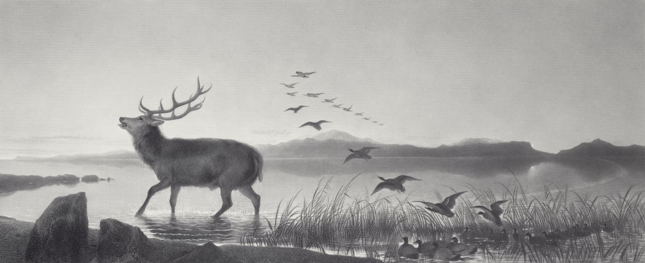 Die Rettung von Edwin Landseer