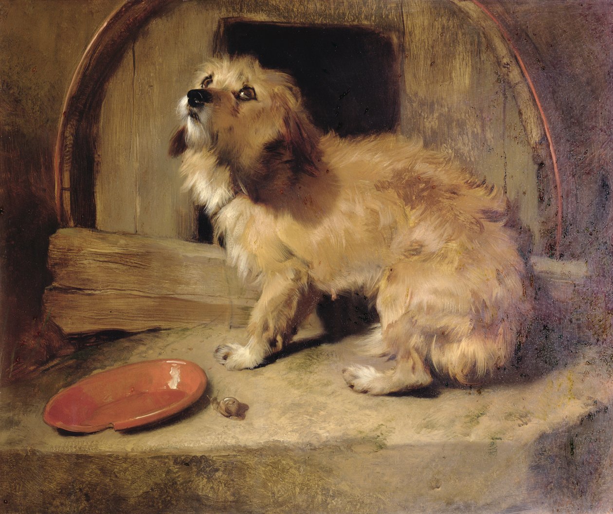 Nirgendwo ist es wie Zuhause von Edwin Landseer