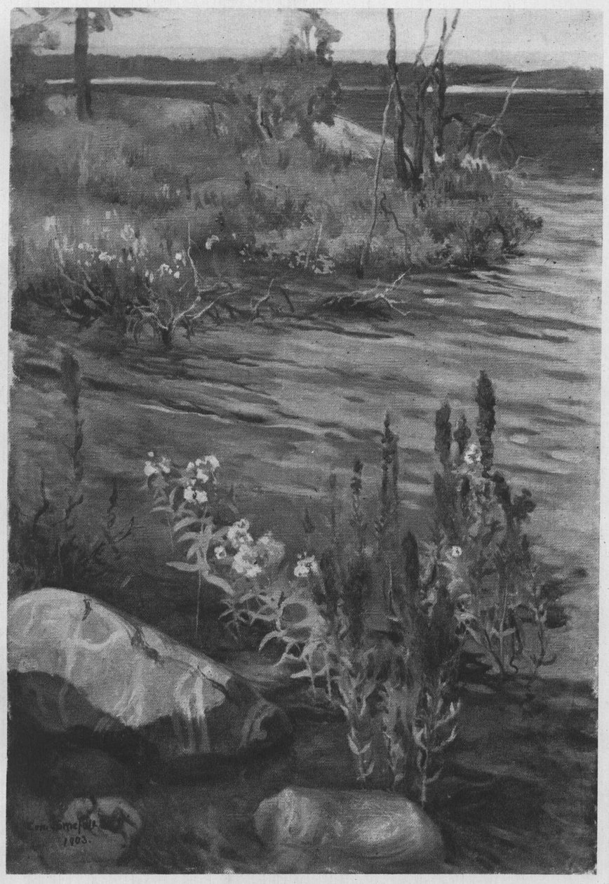Blumen am Wasser von Eero Järnefelt