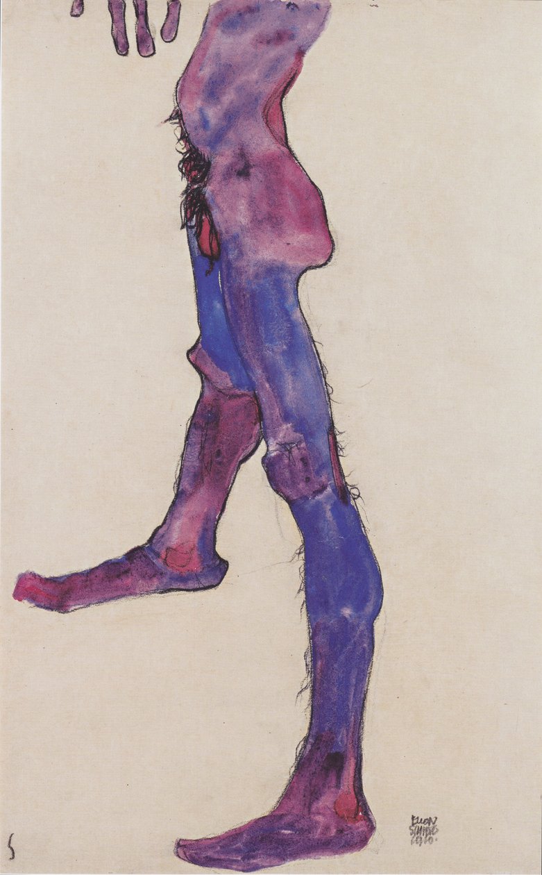 Männlicher Unterleibstorso von Egon Schiele