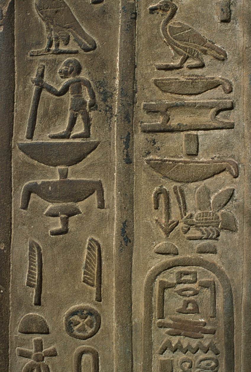 Detail eines Reliefs, Hieroglyphen von Egyptian