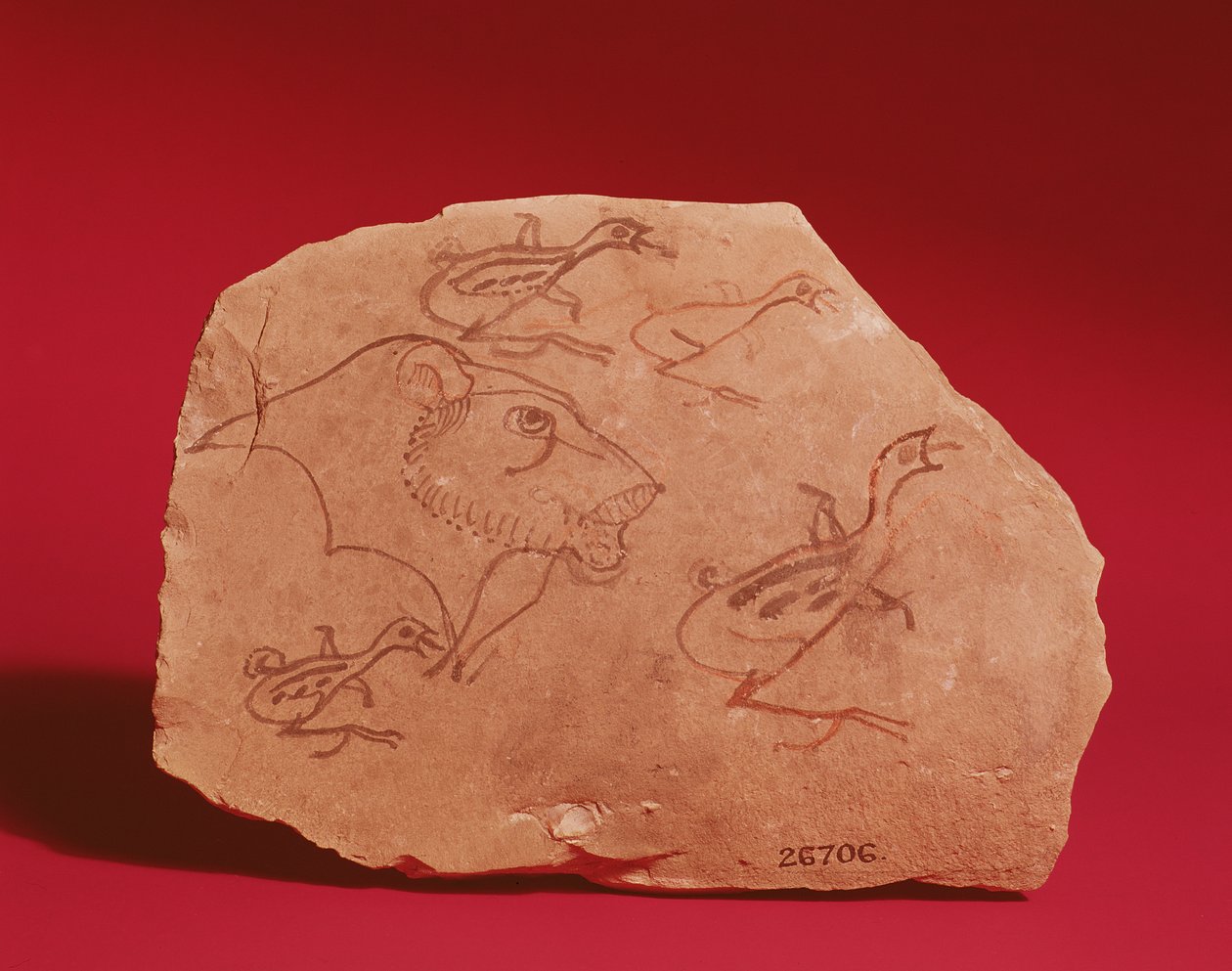 Ostrakon, das den Kopf eines Löwen und vier Wachtelküken darstellt, wahrscheinlich aus Theben, 19.-20. Dynastie von Egyptian