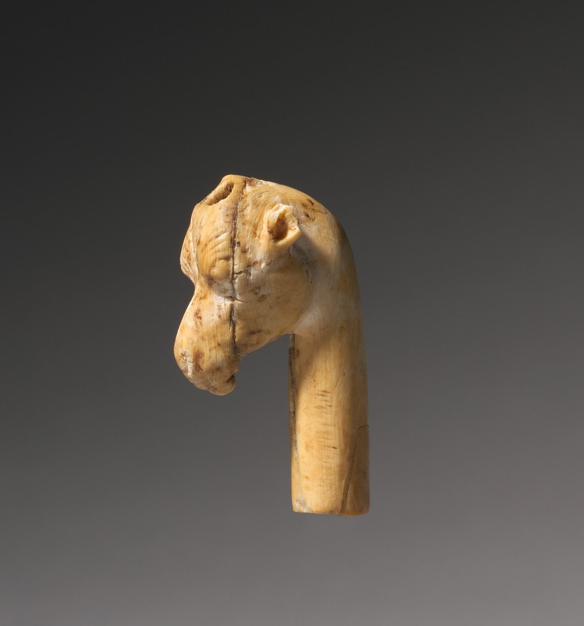 Giraffenkopf, ca. 1540-1296 v. Chr. von Egyptian 18th Dynasty