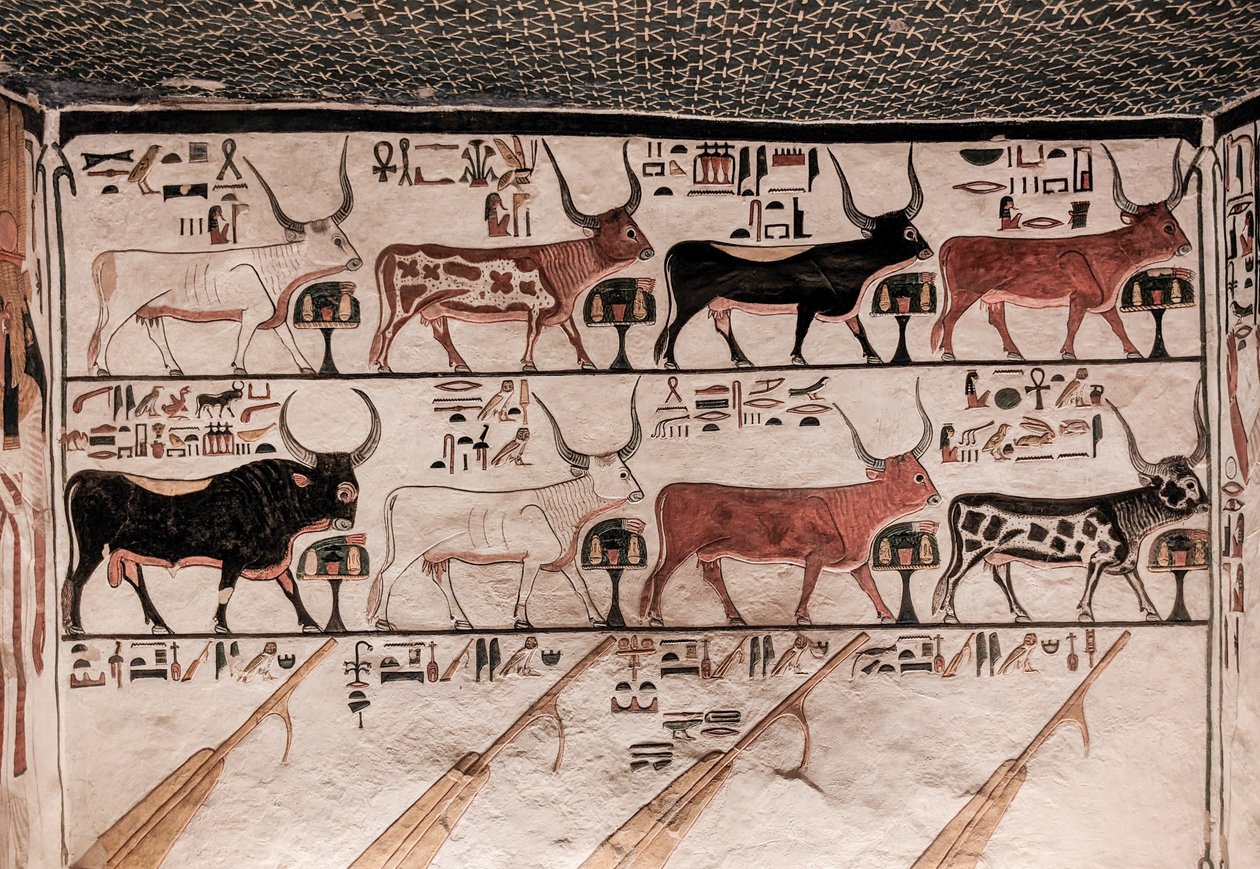 Grab der Nefertari (Wandmalerei) von Egyptian 19th Dynasty