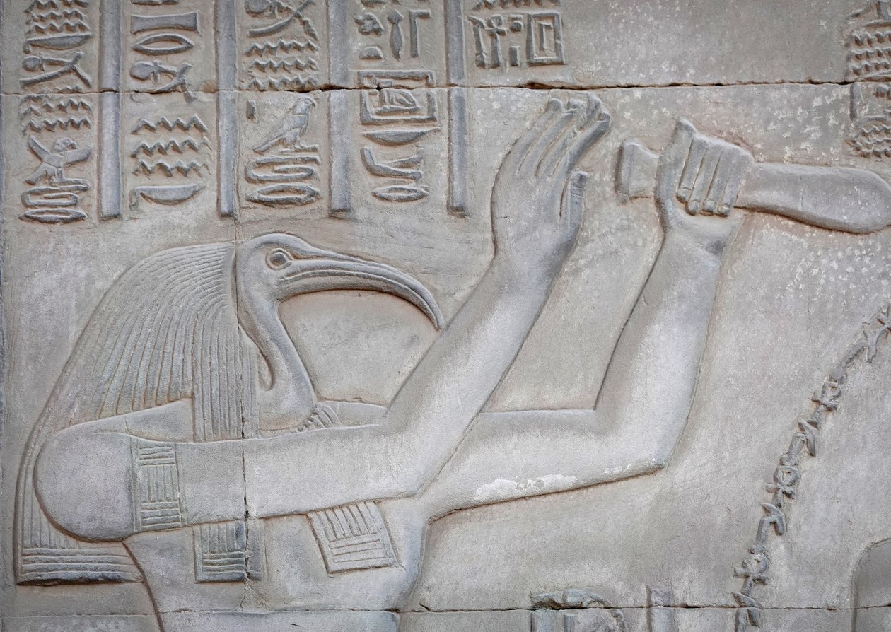 Thot, Kom Ombo Tempel (Relief) von Egyptian Egyptian