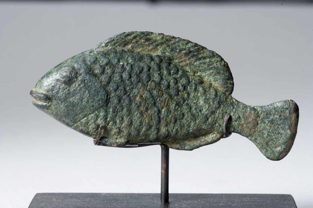 Tilapia-Fisch von Egyptian Ptolemaic Period