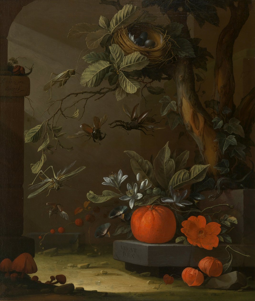 Vivat Rex von Elias van den Broeck