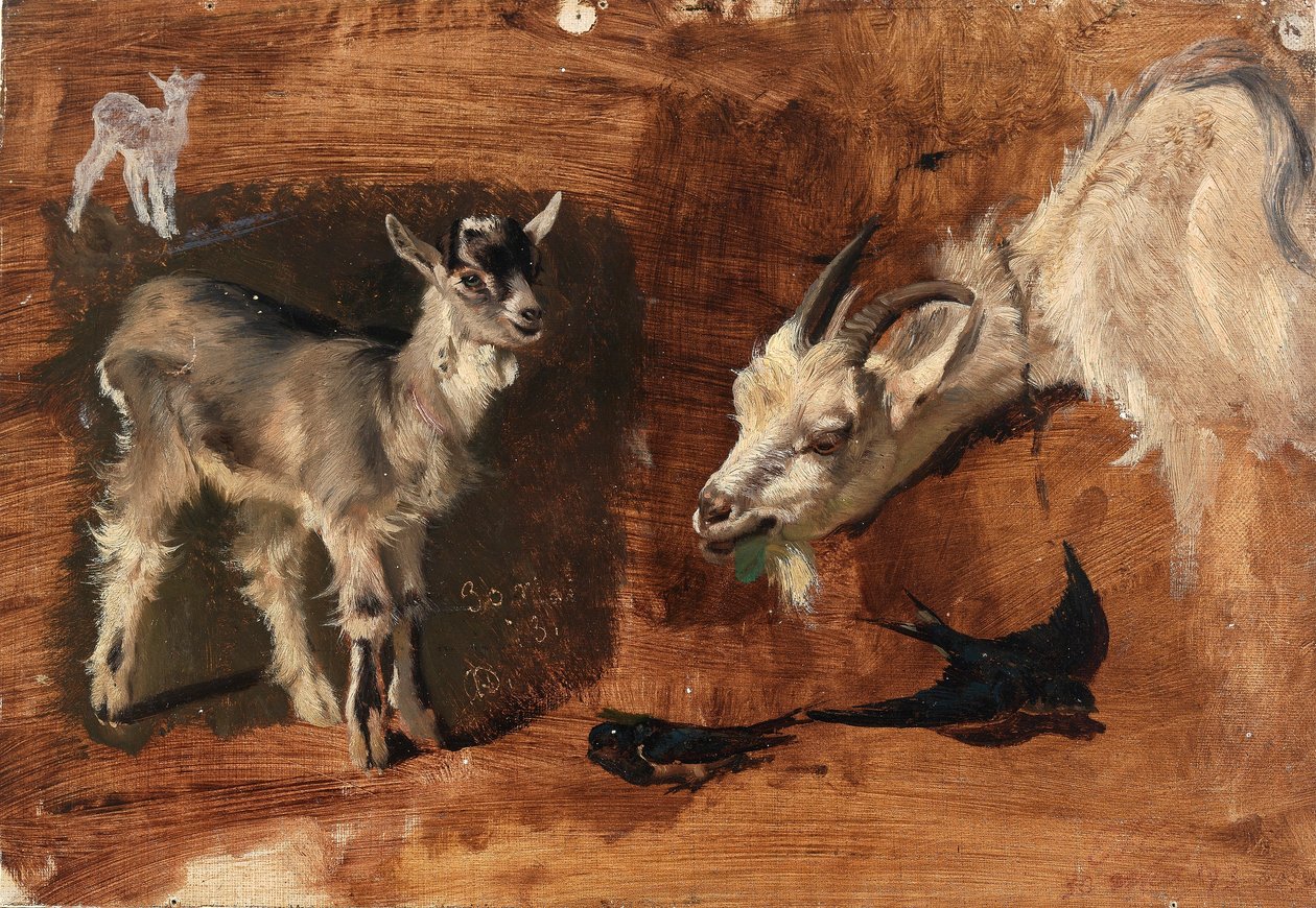 Ziegen von Eliphalet Fraser Andrews