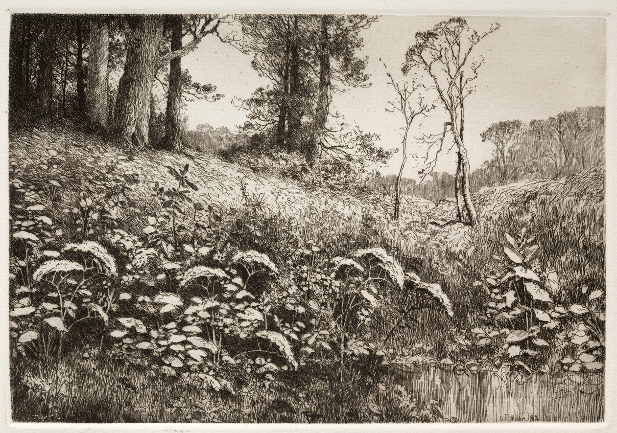 Ein Sommernachmittag von Elis F. Miller
