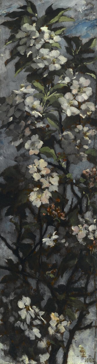 Apfelblüten von Elizabeth Boott Duveneck