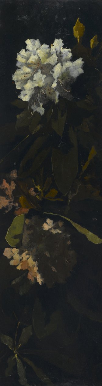 Rhododendren von Elizabeth Boott Duveneck