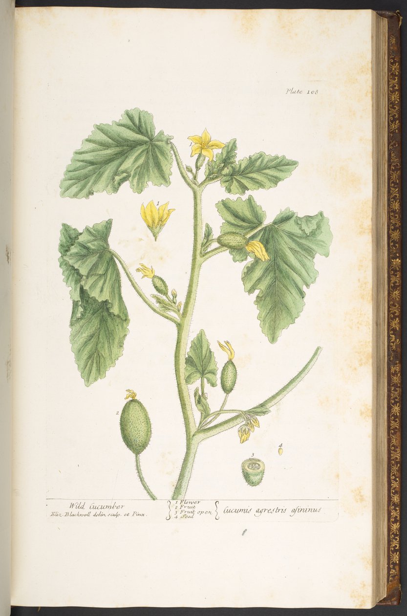 Tafel 108, aus 