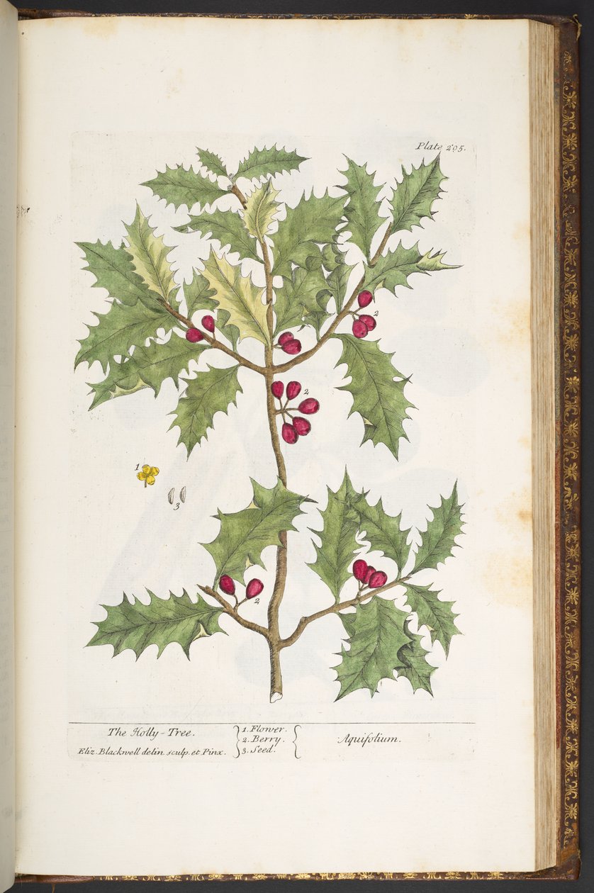 Tafel 205, aus 