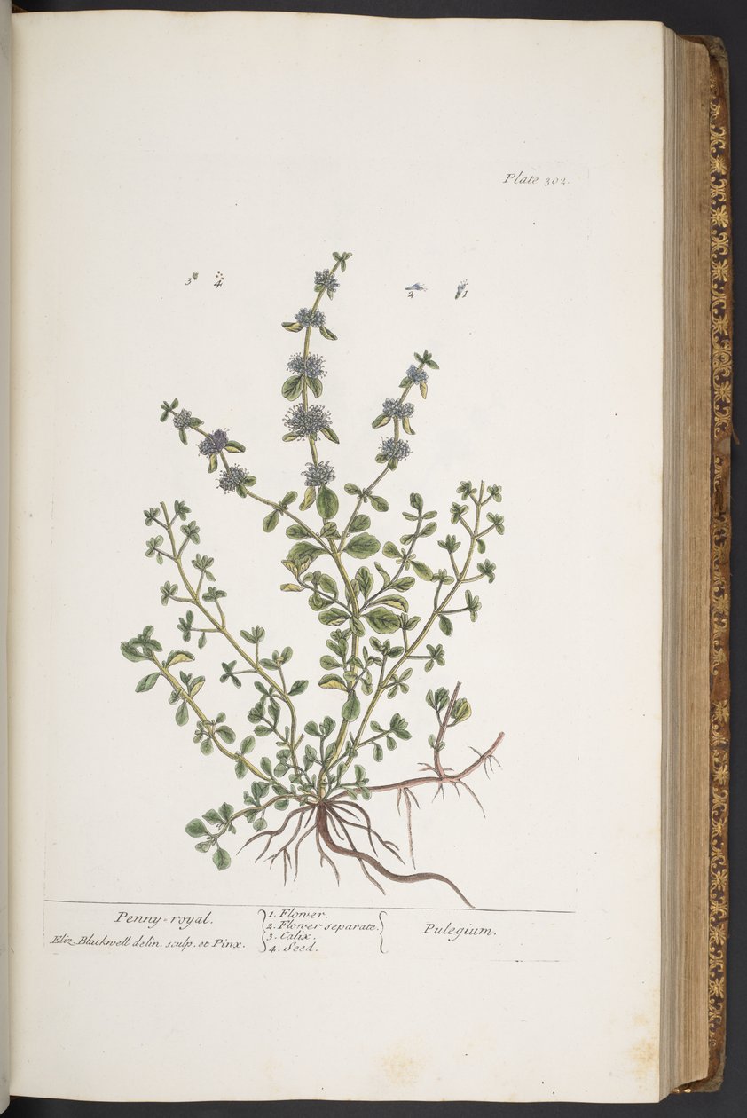 Tafel 302, aus 