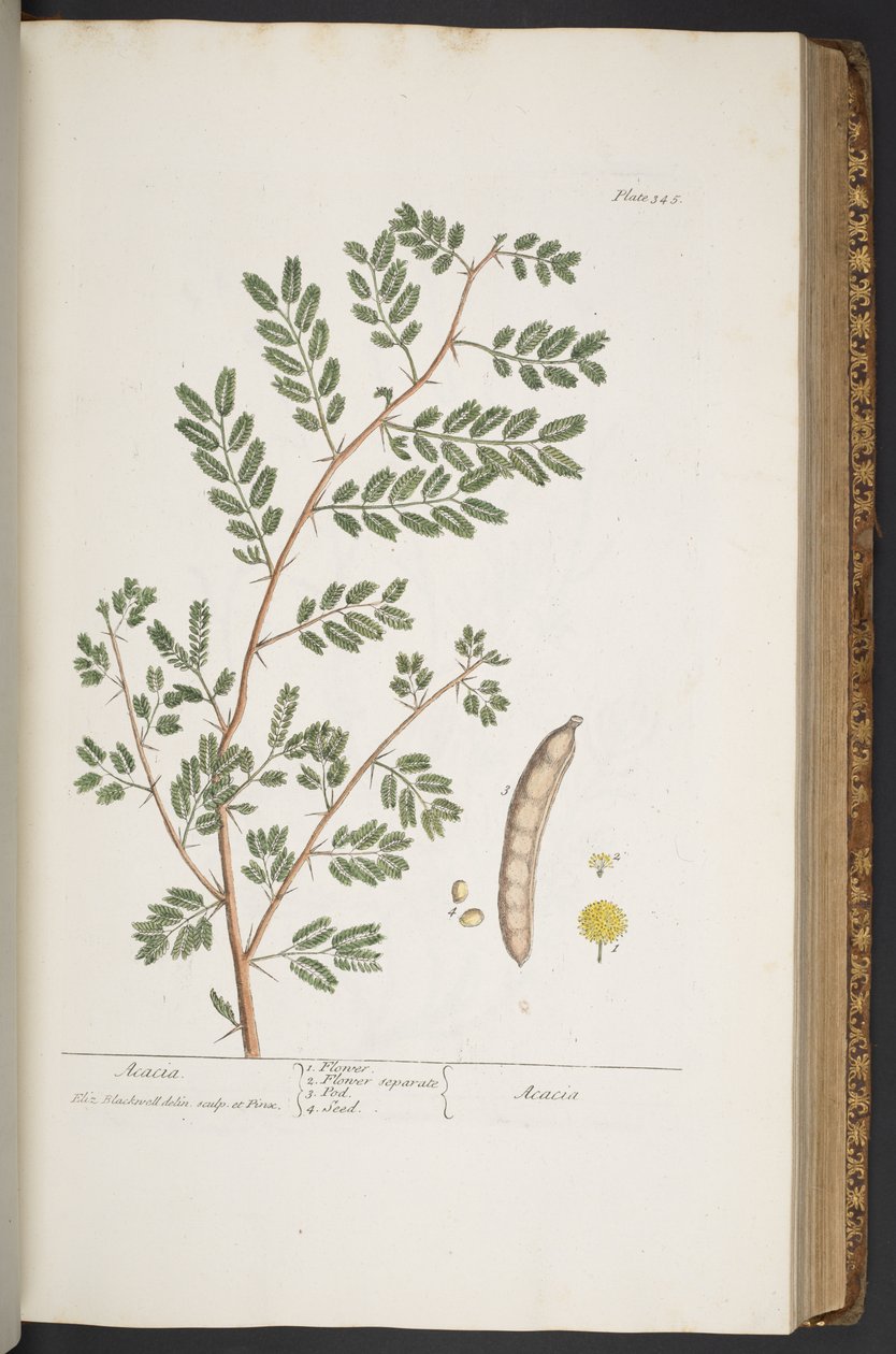 Tafel 345, aus 