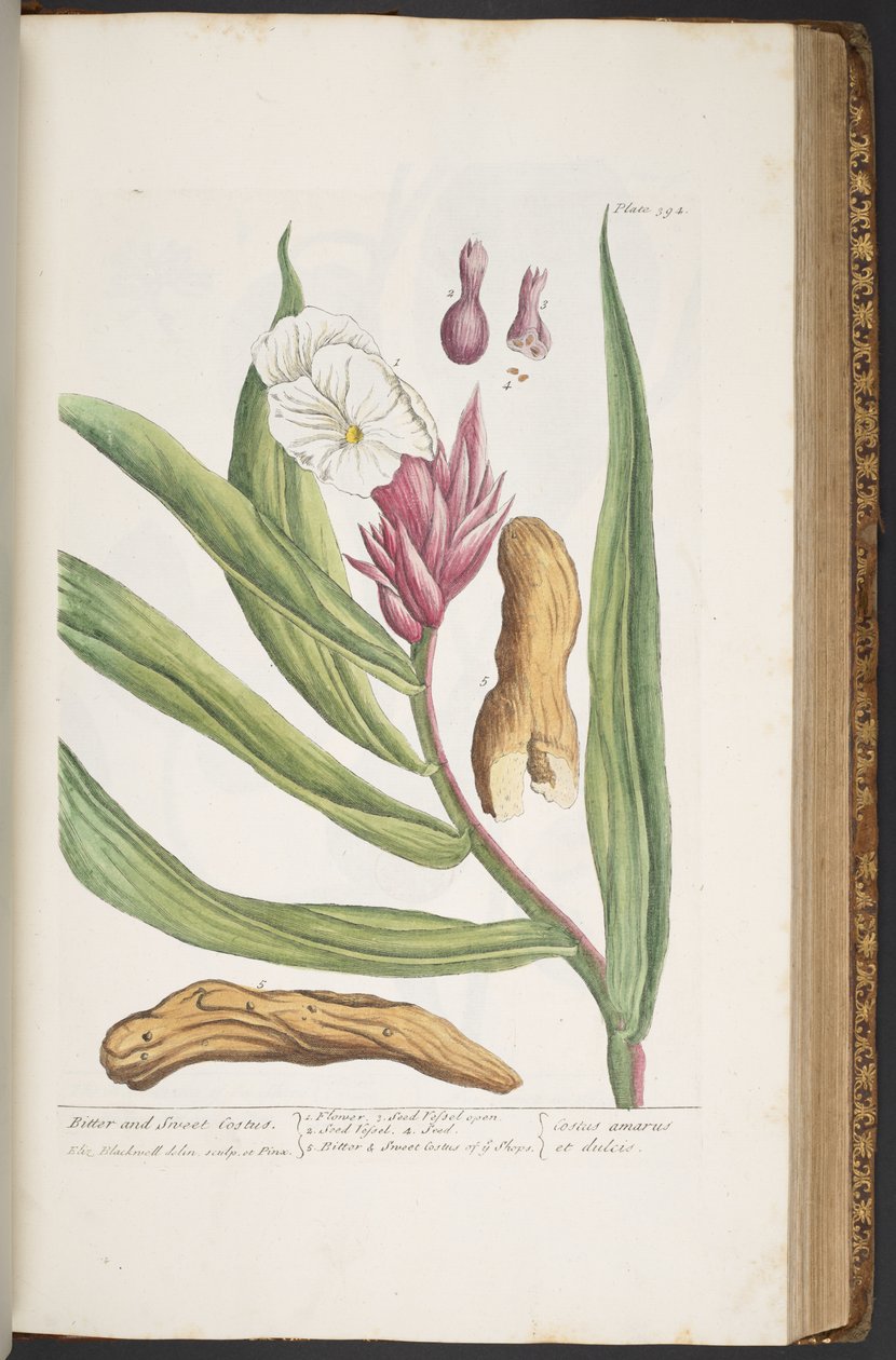 Tafel 394, aus 