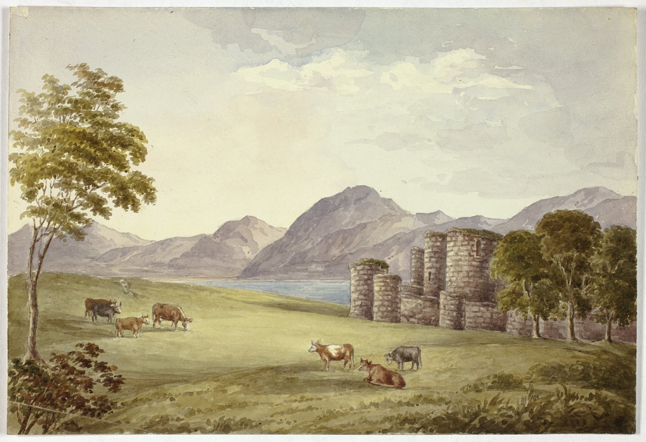 Beaumans Schloss von Elizabeth Murray